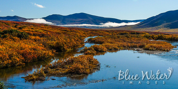 Alaskan Wilderness outside of Nome