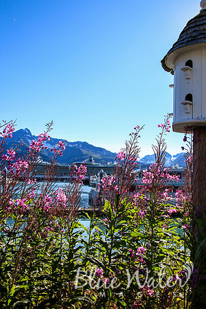 Seward marina