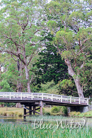 Audley Dance Hall Bridge