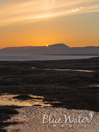 Tundra at Sunset
