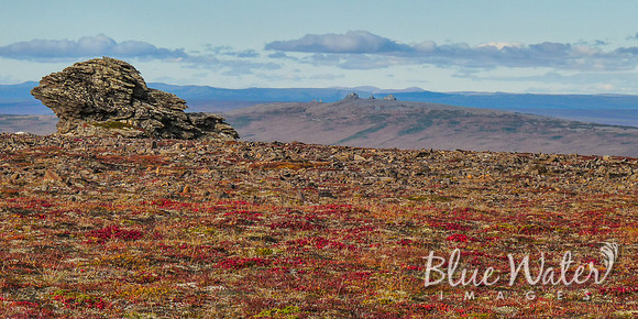Alaskan Wilderness outside of Nome