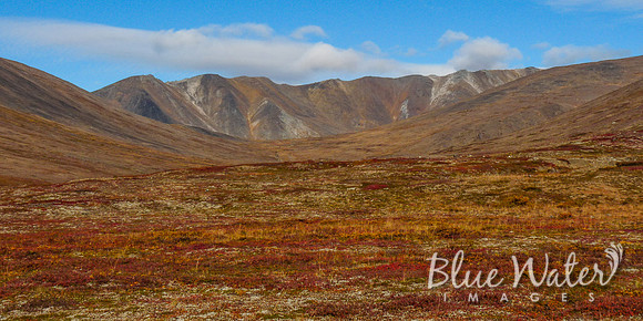 Alaskan Wilderness outside of Nome
