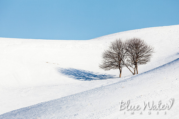 Hokkaido